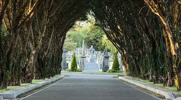 The city of the dead