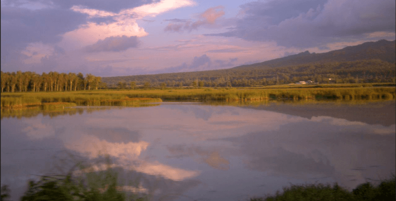 Rivers in India Accorded Human Status