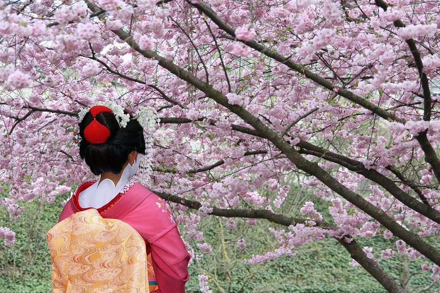 Japanese Cherry Blossom Festival 2017
