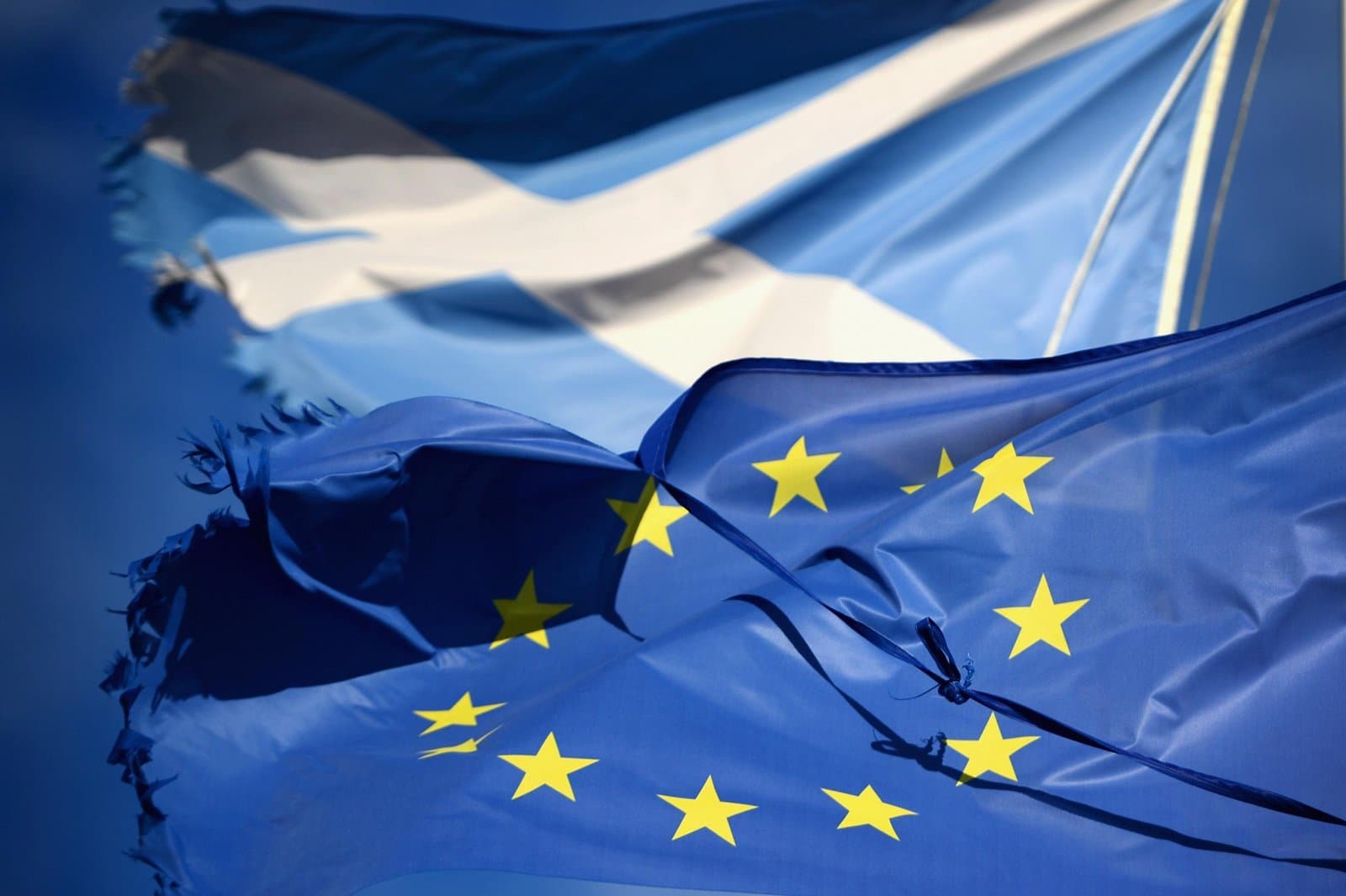 Independent Scotland would be welcome to join EU, claim Green MEPs