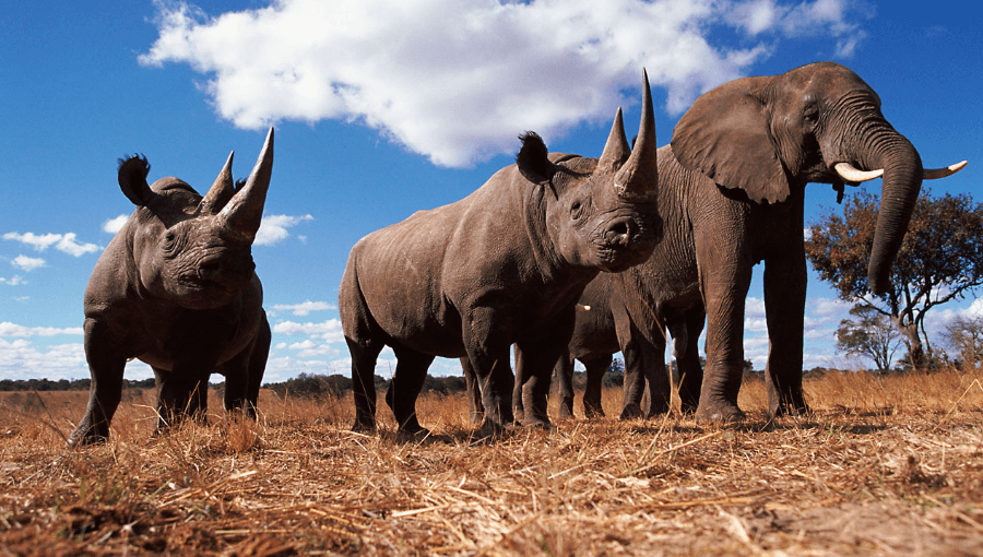 Natural Heritage Sites Threatened by Criminals