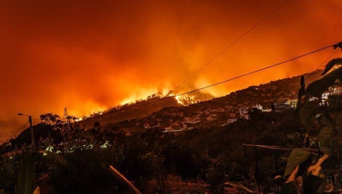 50 dead in Greek Wildfire