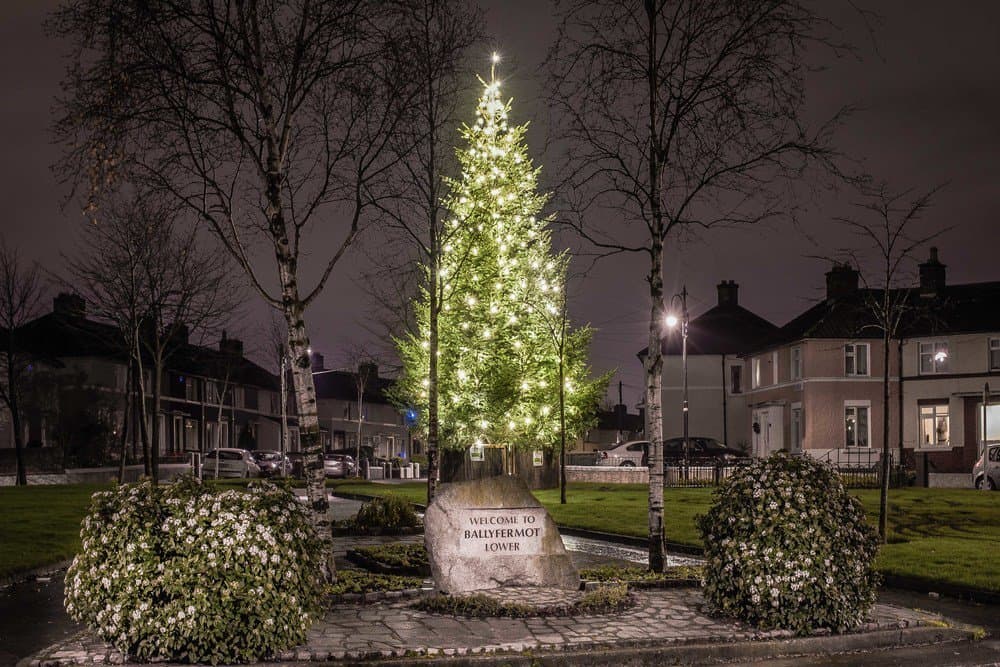 Dublin kicks off its 2019 Christmas tree lighting