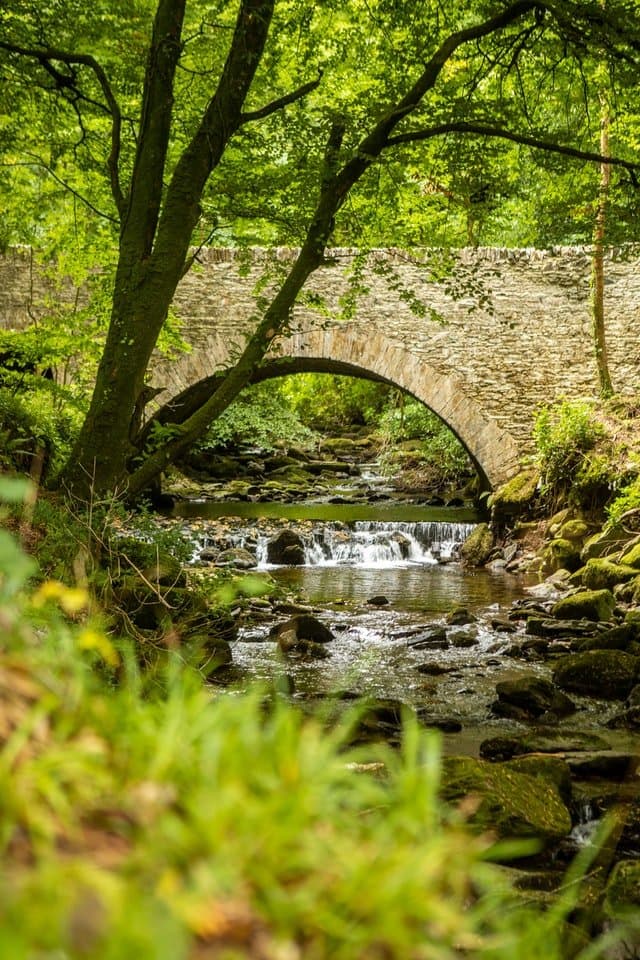 Wilderness Express: Ireland’s six National Parks