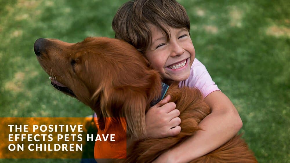The positive effects pets have on children