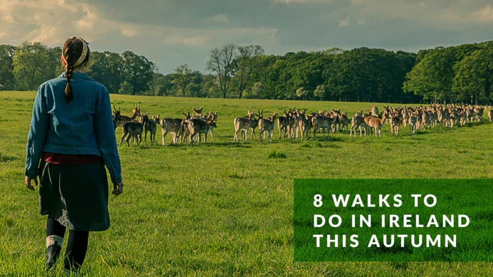 8 Walks to Try in Ireland this Autumn