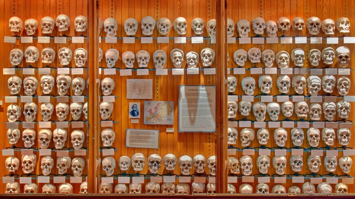 8 peculiar international museums to visit online during lockdown