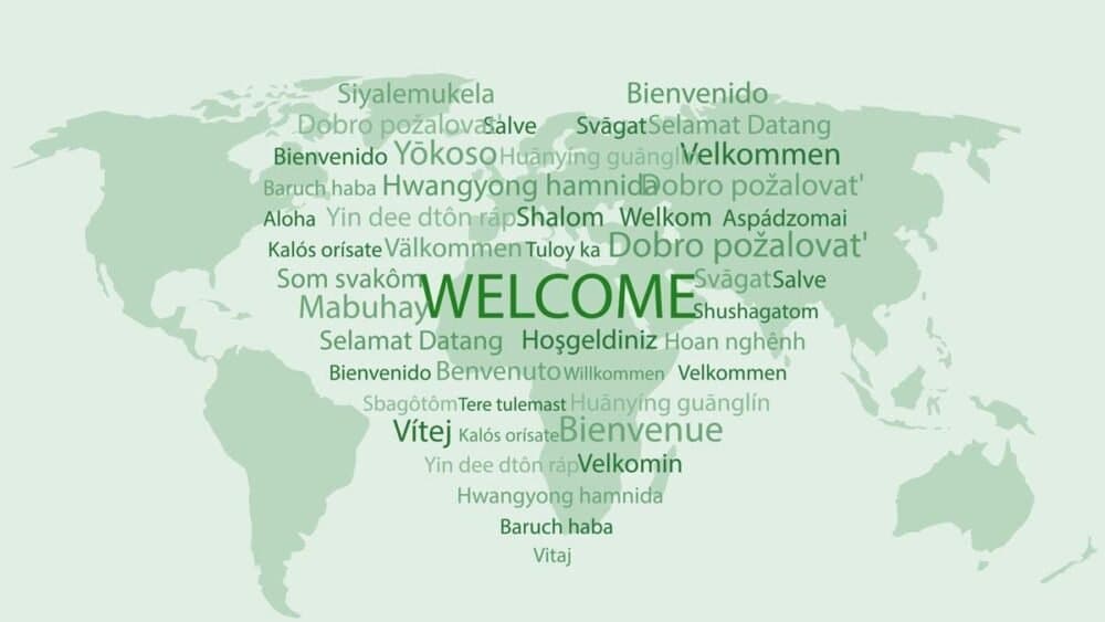 Multilingualism crisis – why Ireland needs to be more active
