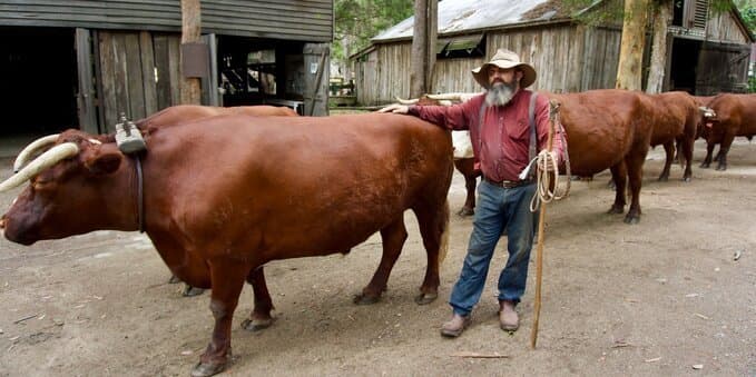 Why we all need to eat less meat: the shocking truth