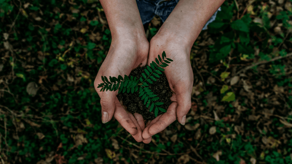Ways to be sustainable at home