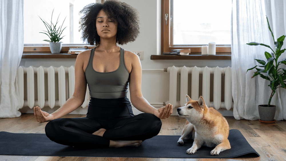 Meditation: Training the Mind for Inner Peace and Happiness