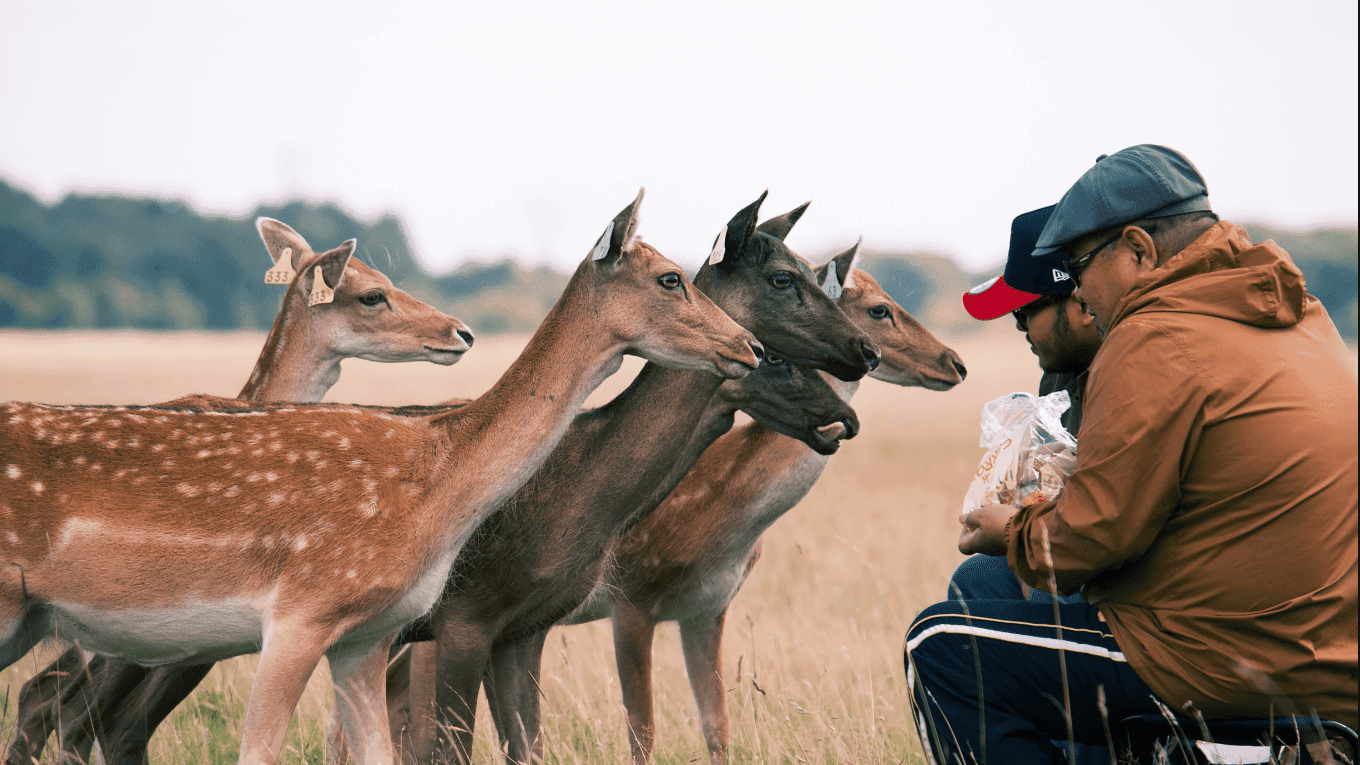 Top 10 Free Activities in Dublin