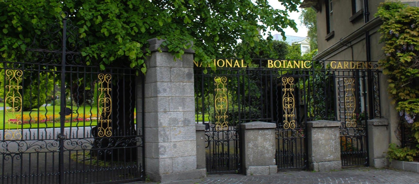Dublin Botanical Gardens: A Fantastic Journey
