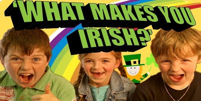 Irish Demography