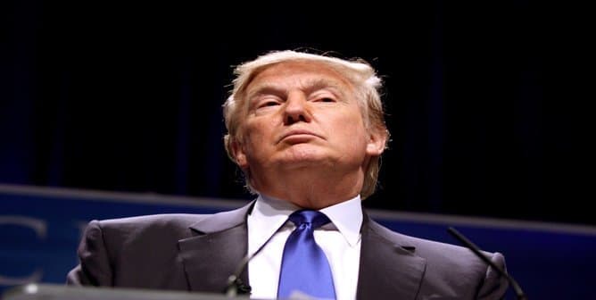 The Week in Brief