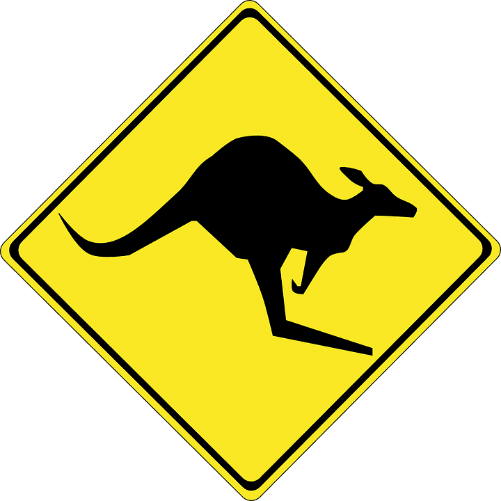 Wrestling With the “Aussie” Flu