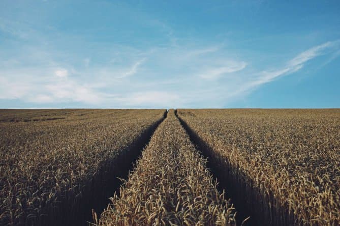Warm weather threatens farm income
