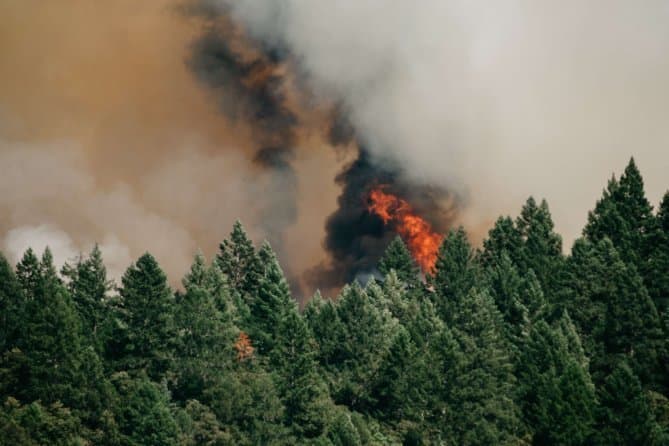 High alert on forest fires in Portugal
