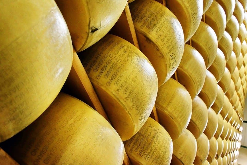 Is Parmigiano perfect food?