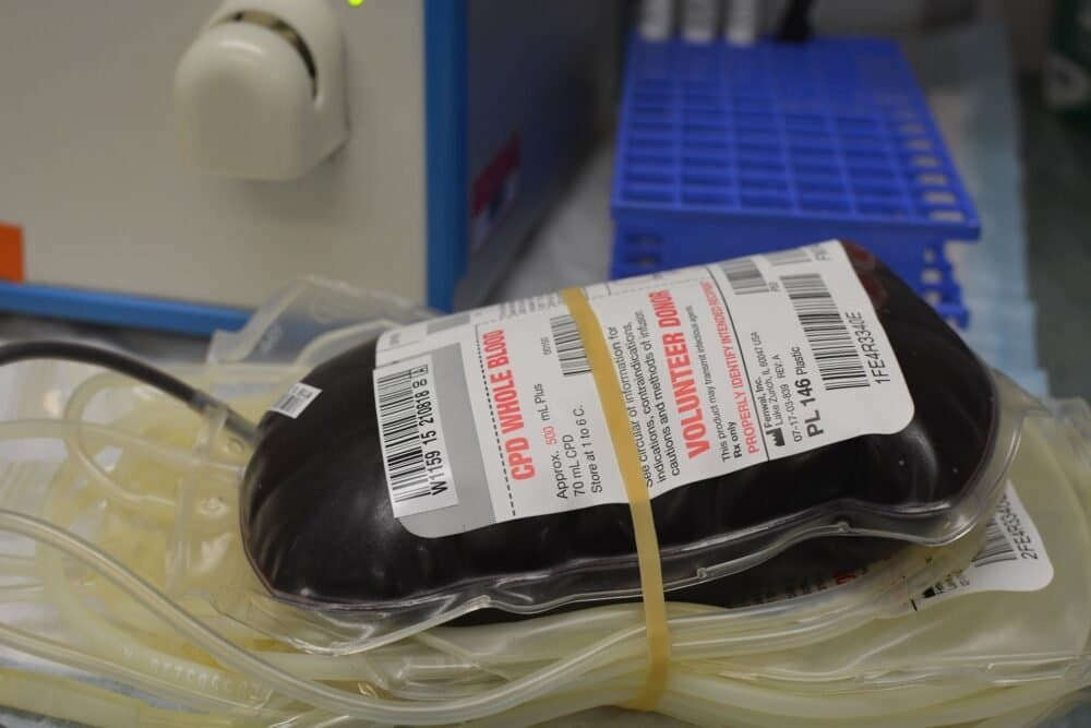 World Blood Donor Day