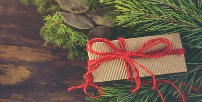 Have yourself a merry green Christmas: A guide