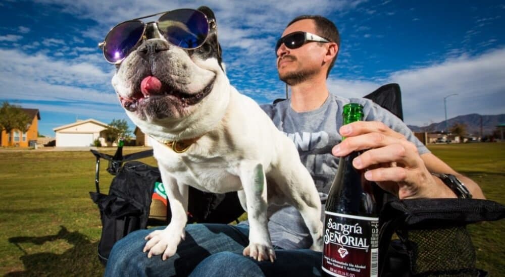 10 activities in Dublin that don’t involve drinking