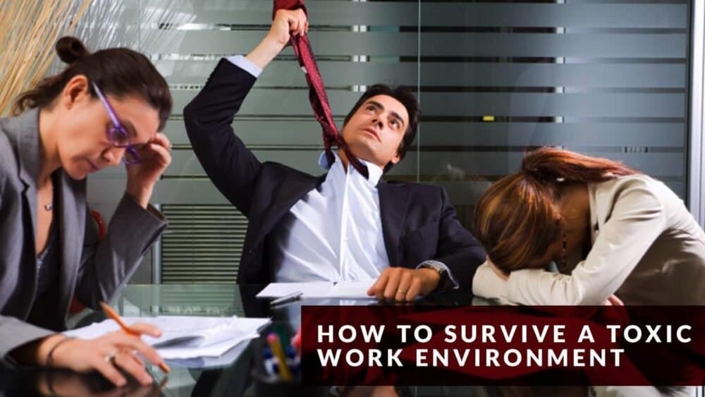 How to survive a toxic workplace