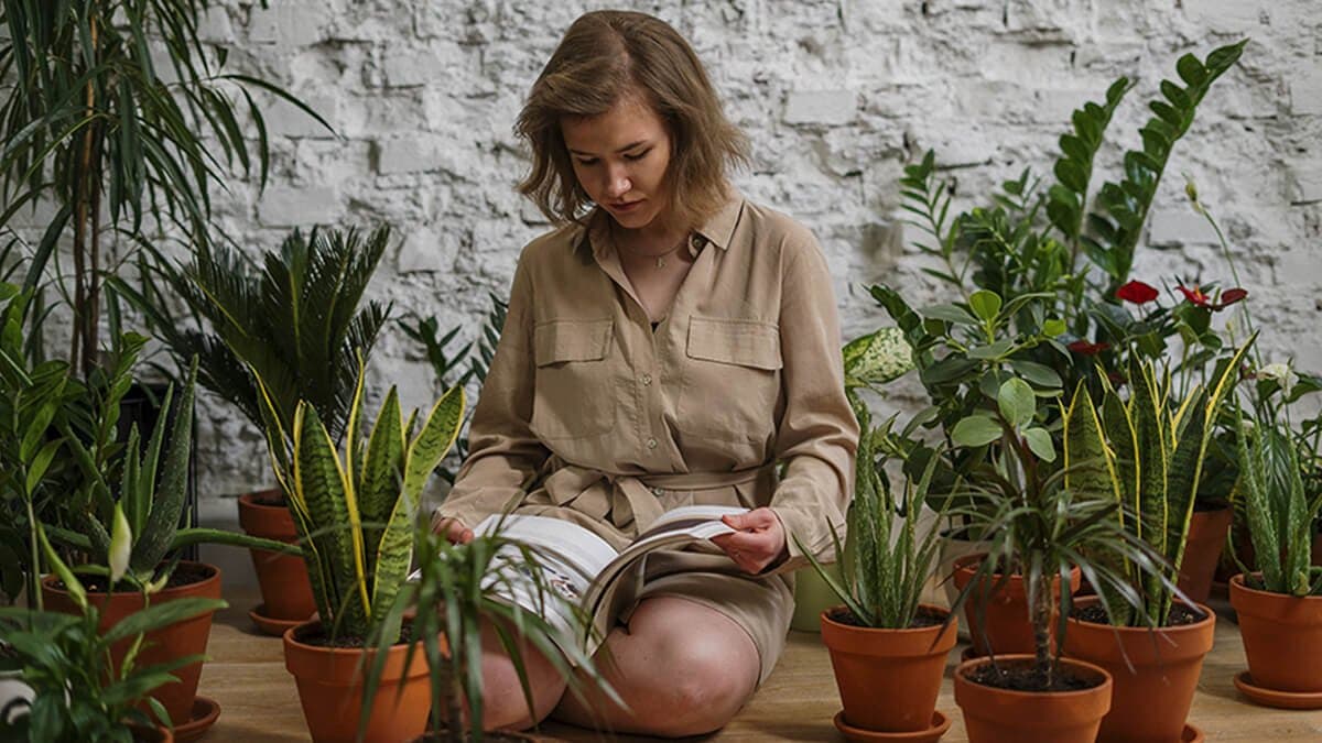 10 Low-light Plants to Raise During Lockdown