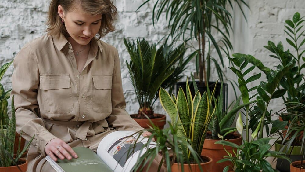 Why are young people gardening? Behind the new #PlantParents
