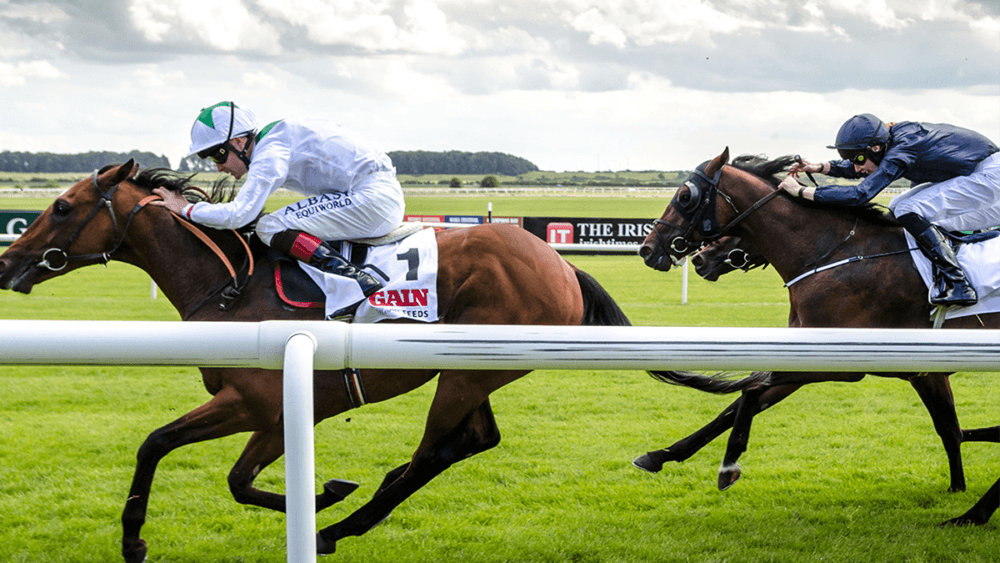 The History of Irish Horse Racing