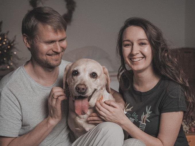 Protecting and caring for pets in Ireland. How are animals cared for in the country?