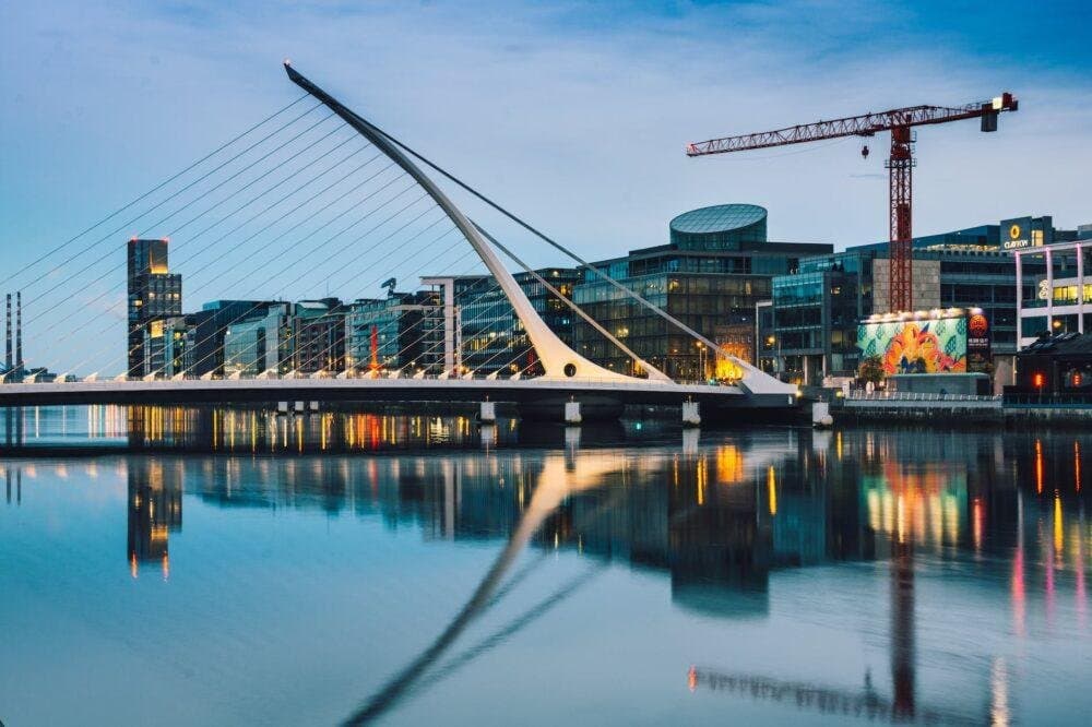 The Irish economy and the Global Market